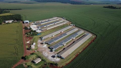 Vista aérea de uma instalação de painéis solares em um campo aberto